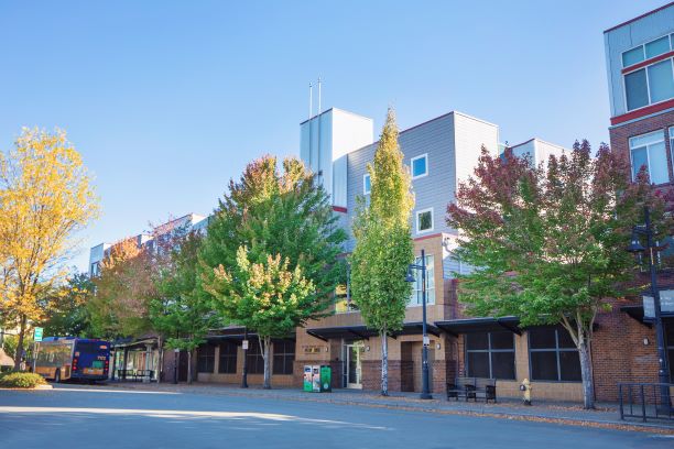 Metropolitan Collection Apartments apartments in Renton, WA
