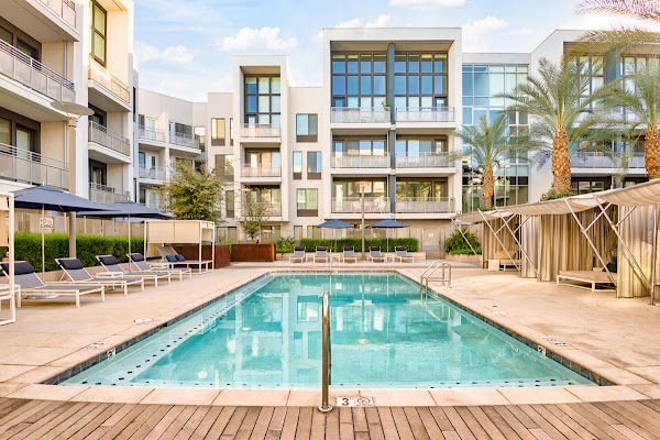 SALT apartments in Tempe, AZ