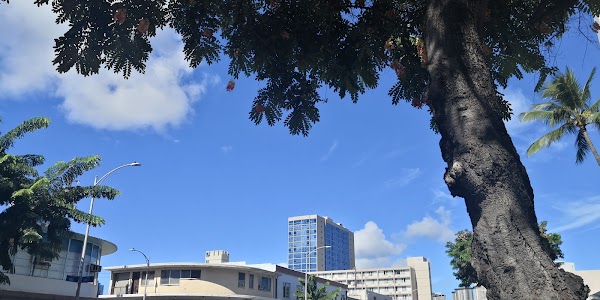 Hale Kalele Apartments apartments in Honolulu, HI