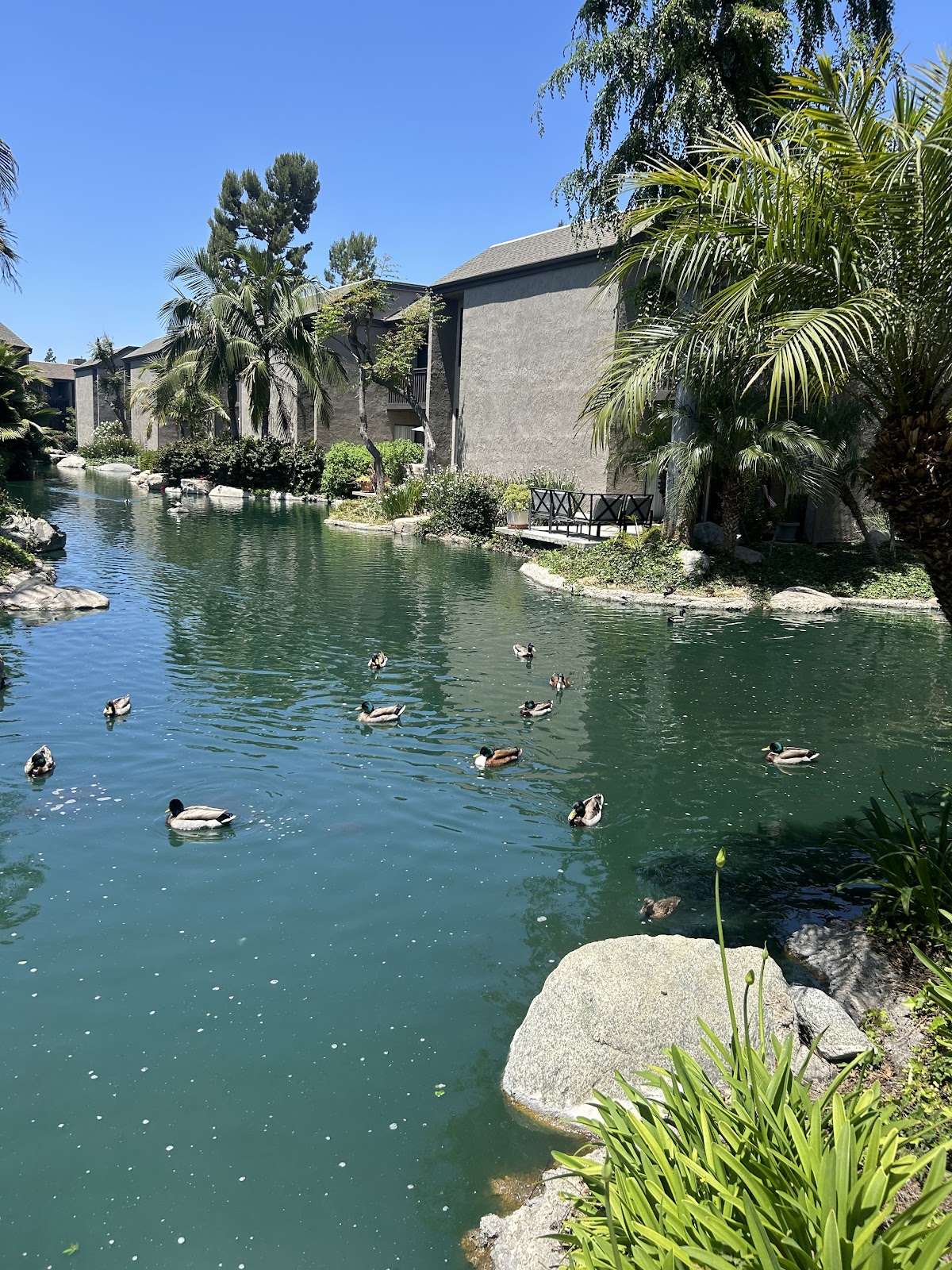 LAKE DIANNE Apartments apartments in Santa Ana, CA