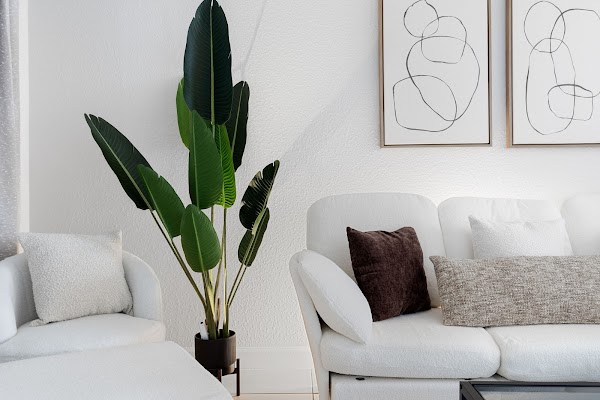 BC Tampa Properties apartments in Tampa, FL