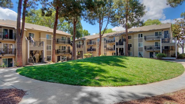 Arbor Terrace Apartments apartments in Sunnyvale, CA