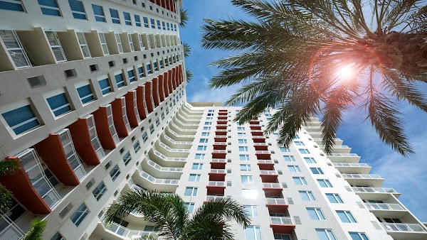 Camden Pier District Apartments apartments in St Petersburg, FL