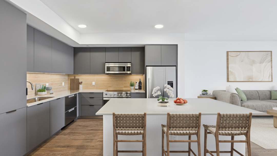 VIV apartments in St Petersburg, FL