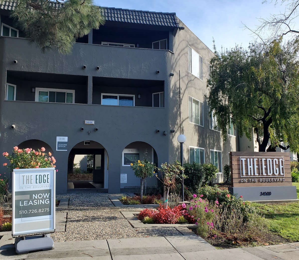 The Edge on the Boulevard apartments in Fremont, CA