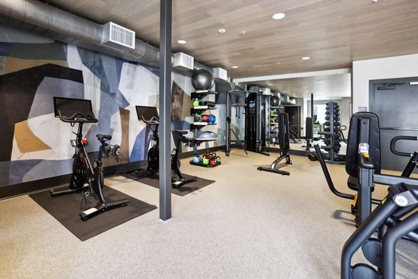 Chandler Residences apartments in Roswell, GA