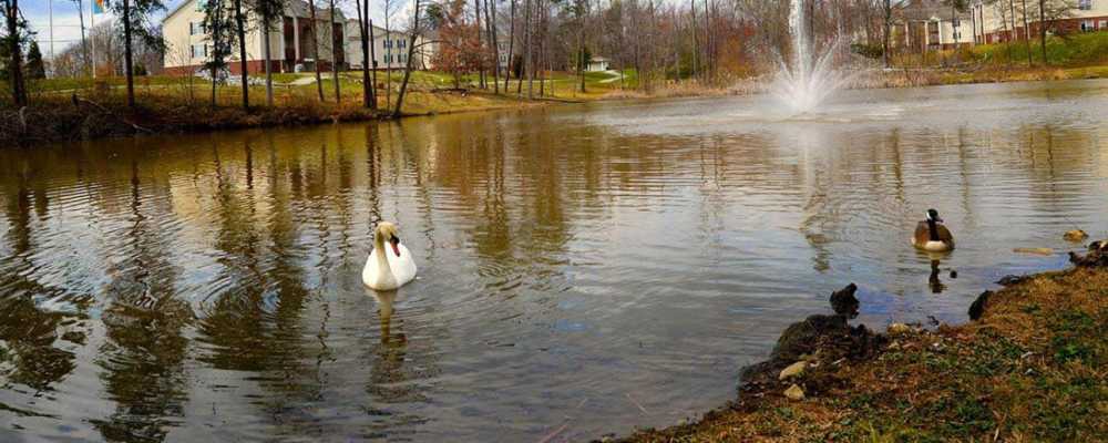 The Lodge at Lakeshore apartments in Archdale, NC