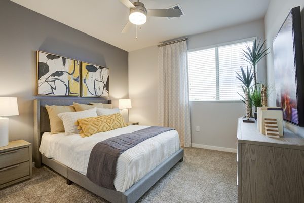 Lucent Scottsdale Apartments apartments in Scottsdale, AZ
