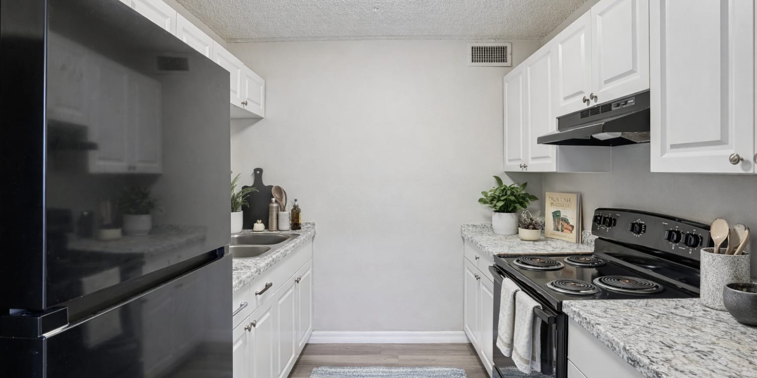 The Element At 464 apartments in Daytona Beach, FL