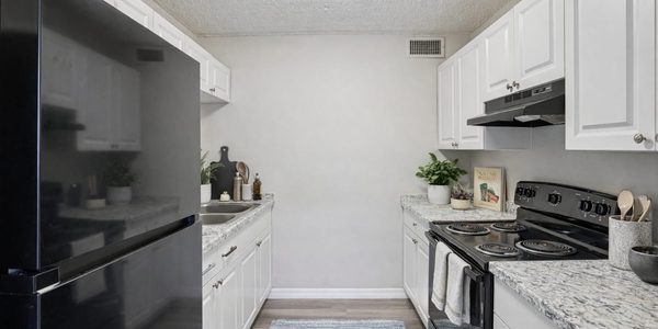 The Element At 464 apartments in Daytona Beach, FL