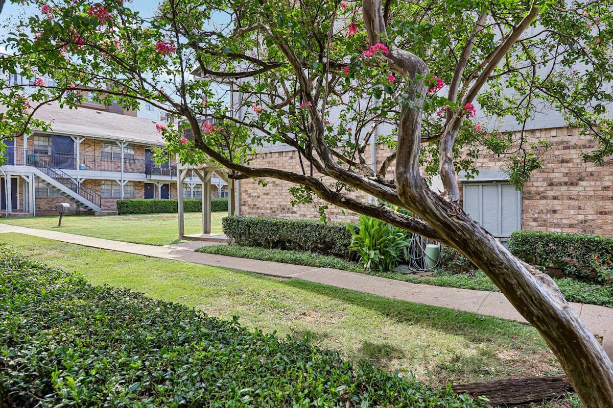 London Square Apartments apartments in Farmers Branch, TX