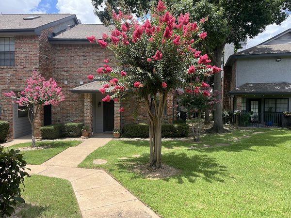 Pecan Square apartments in Addison, TX