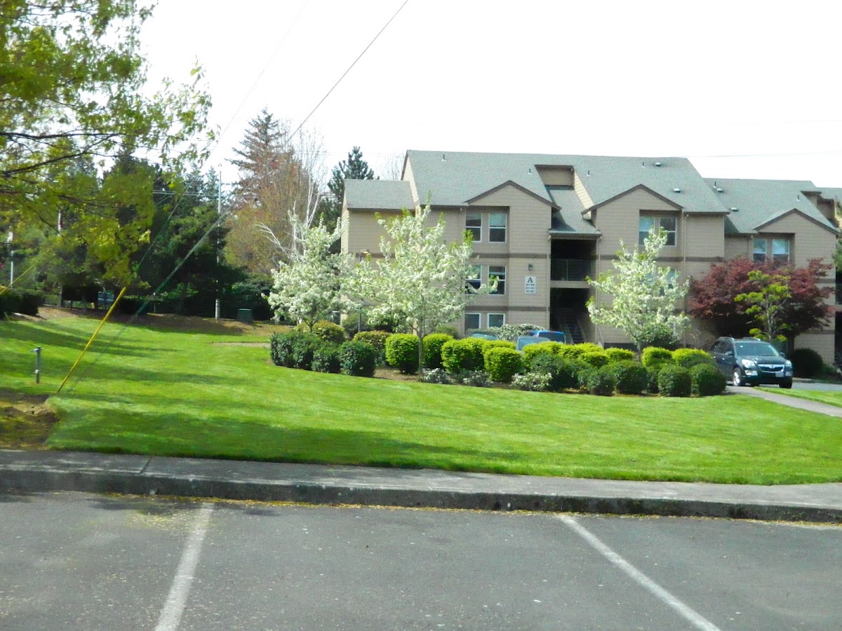 Springwater Trail Apartments apartments in Gresham, OR