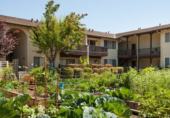El Mirador Apartments apartments in Sunnyvale, CA