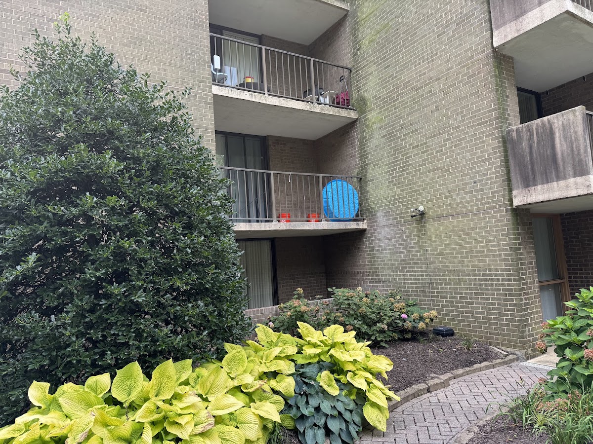 Greystar apartments in Arlington, VA