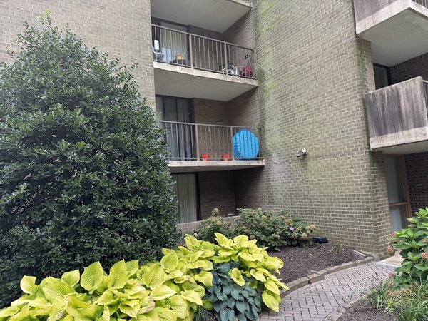 Greystar apartments in Arlington, VA