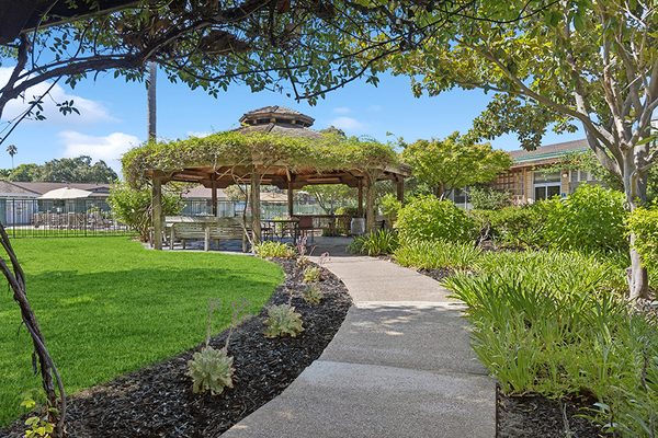 Grove at Walnut Creek Apartments apartments in Walnut Creek, CA
