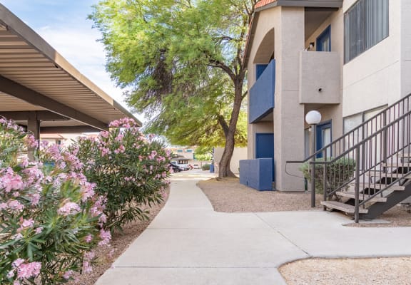Cantera apartments in Tucson, AZ