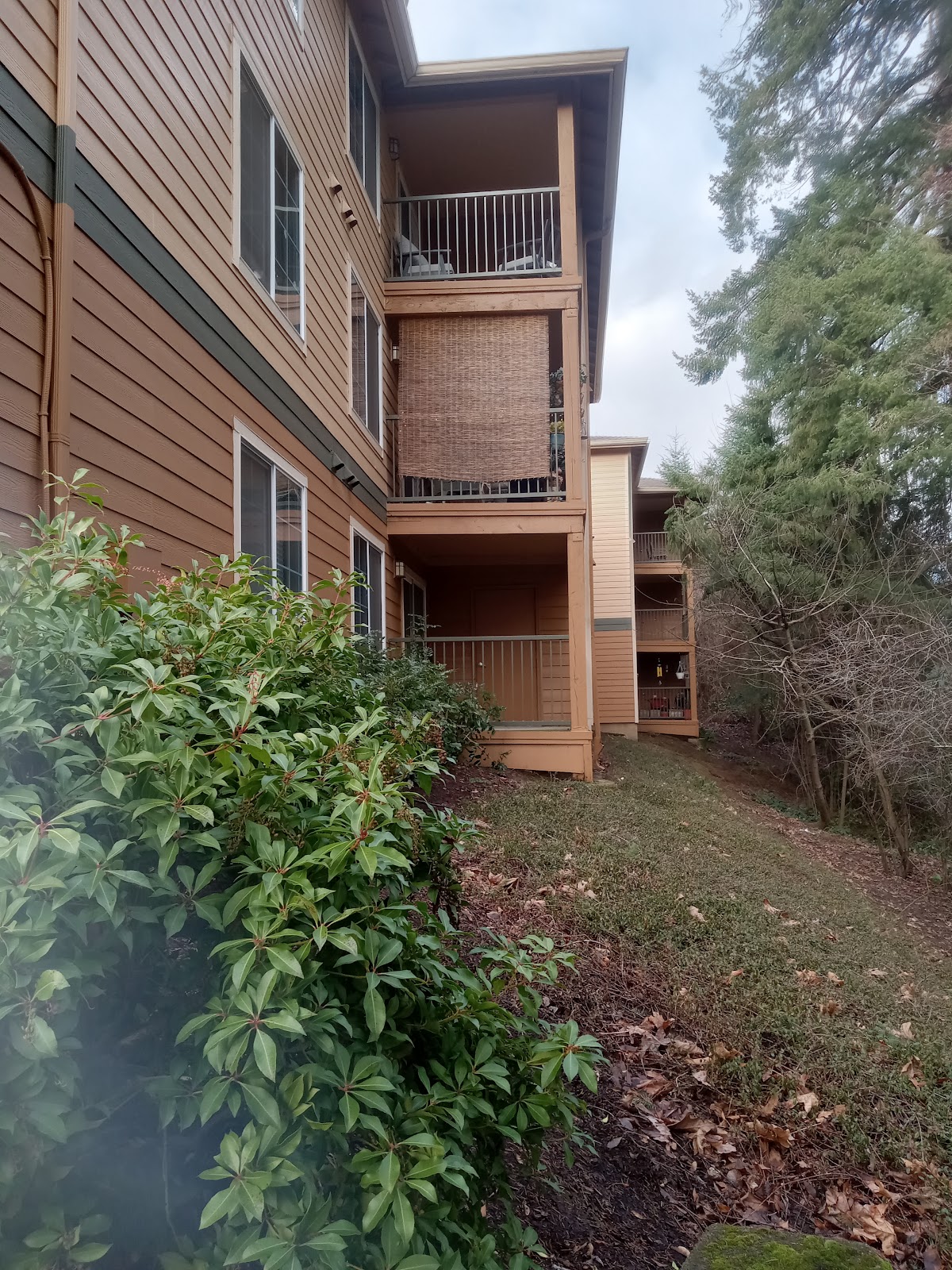 Oak Tree Apartments apartments in Tigard, OR