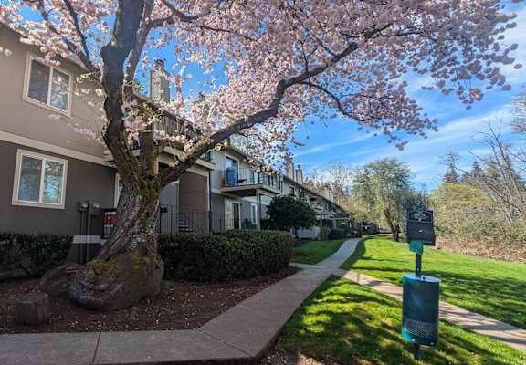 Creekside Commons Apartments apartments in Tigard, OR