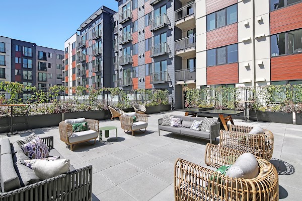 Terrace Station apartments in Mountlake Terrace, WA