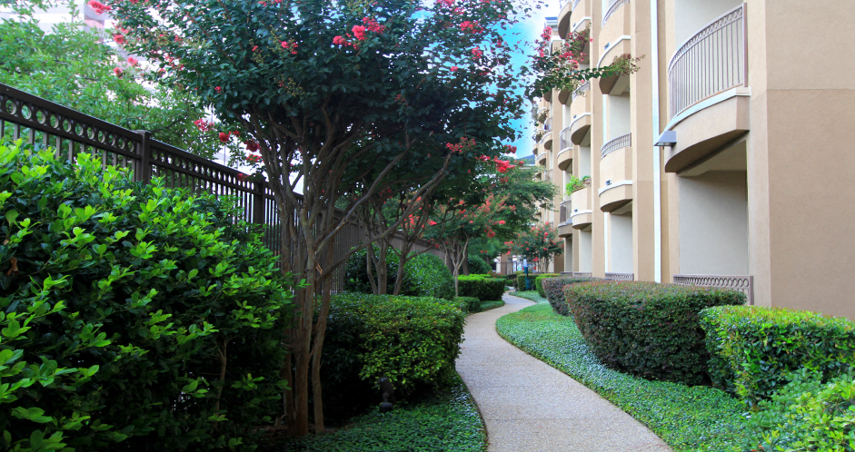 Villa Piana Apartments apartments in Addison, TX